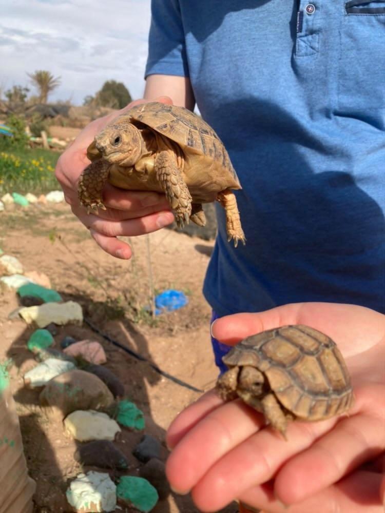 L'Experience Berbere Villa Agadir Buitenkant foto